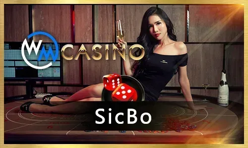 Bingo Bonuses